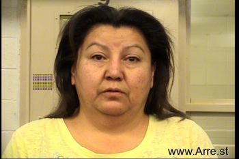 Lisa V Sanchez Mugshot